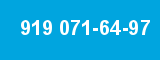 919 071-64-97 919 071-64-97